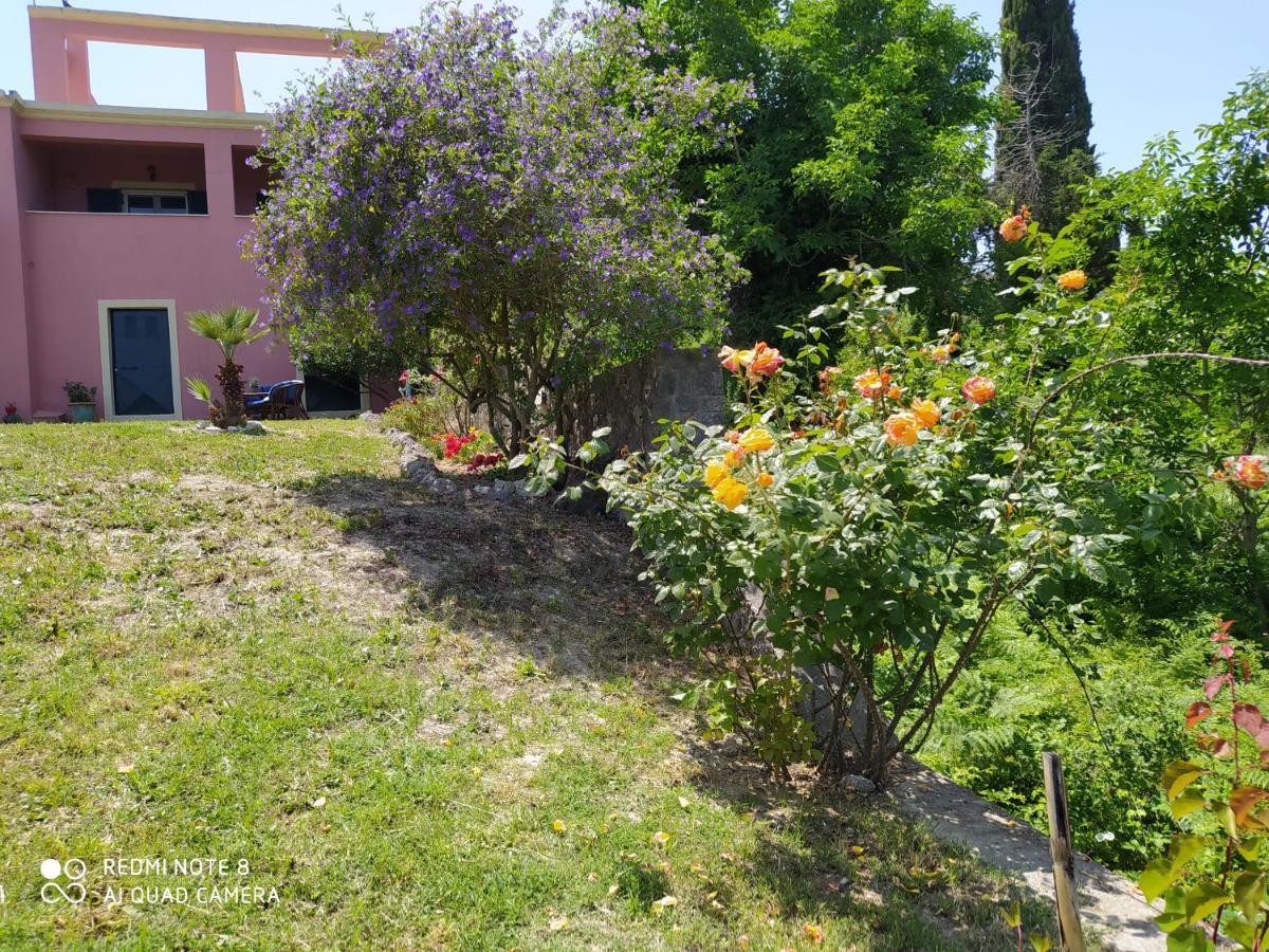 Corfu Villa Galini Pótamosz Kültér fotó